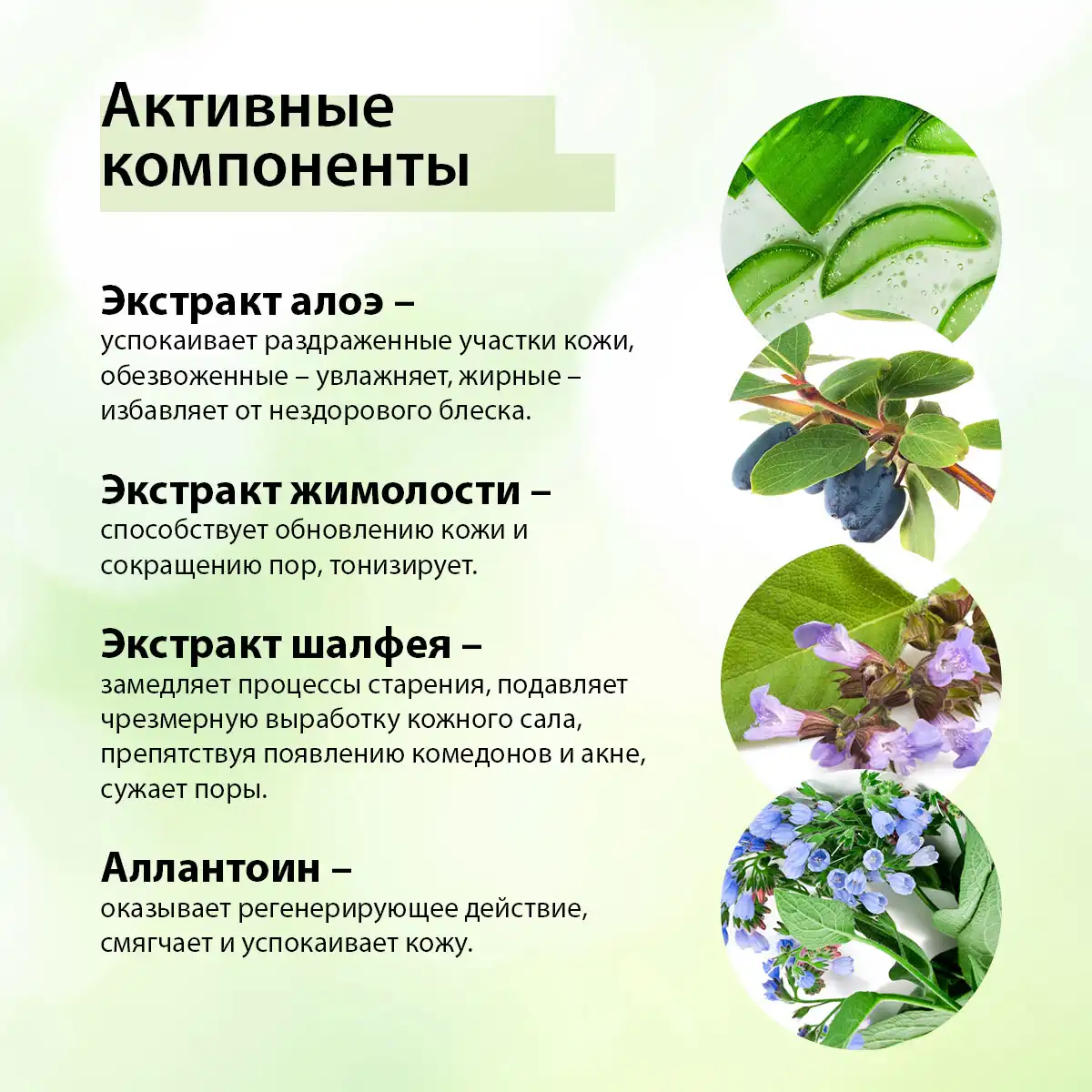 Loțiune facială antiinflamatoare Master Herb, 60 ml