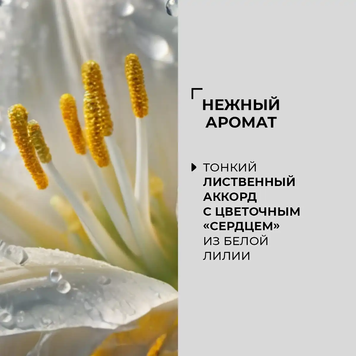 Дезодорант-спрей для тела «Природный алунит и шалфей», 100 мл