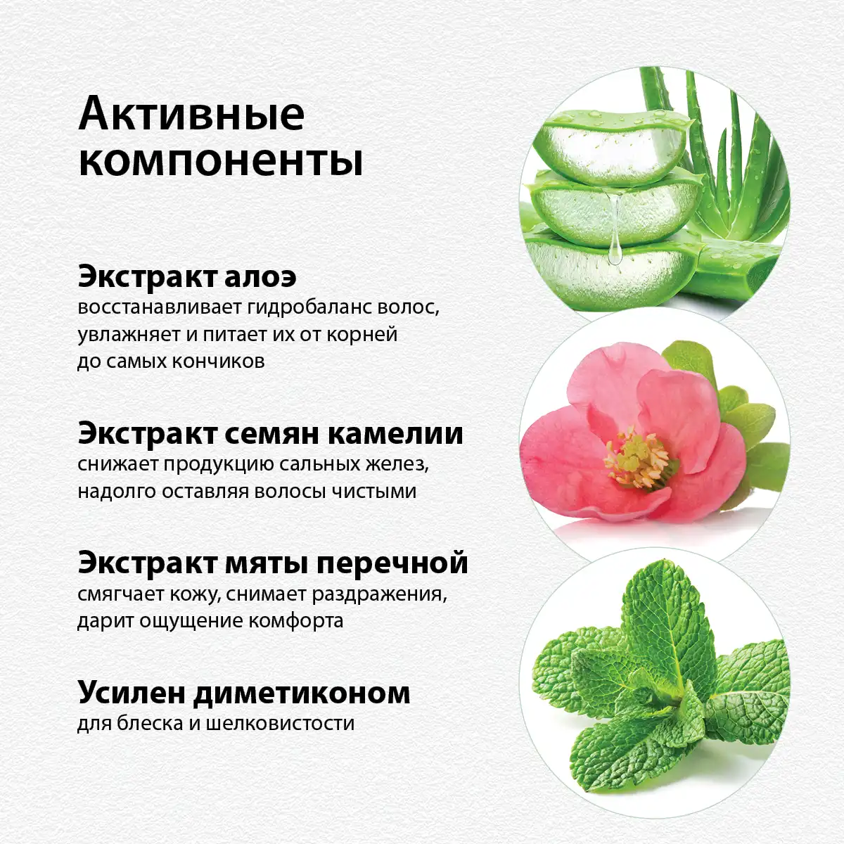 Шампунь с экстрактом алоэ, 200 г