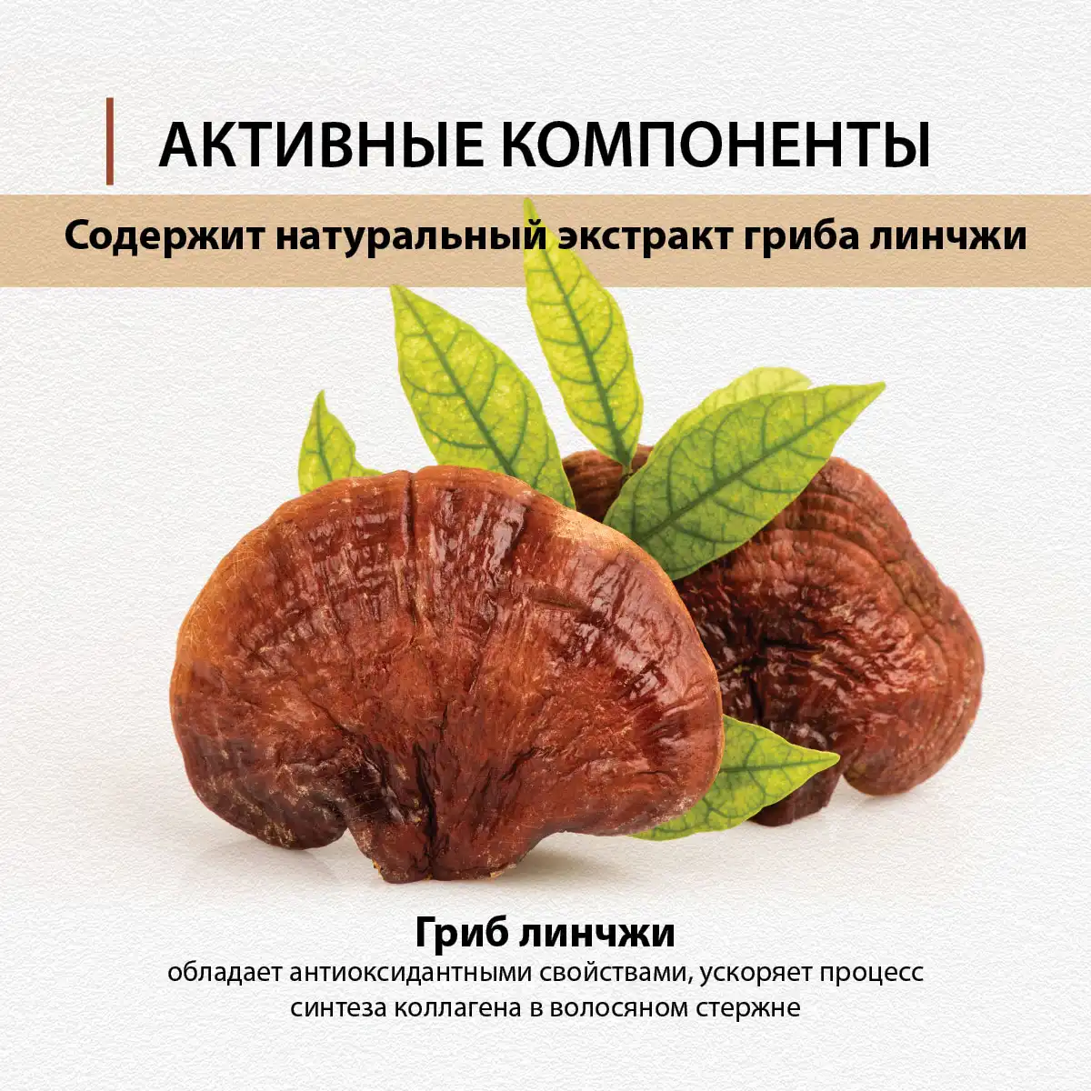 Șampon fortifiant cu extract de ciupercă lingzhi, 220 g