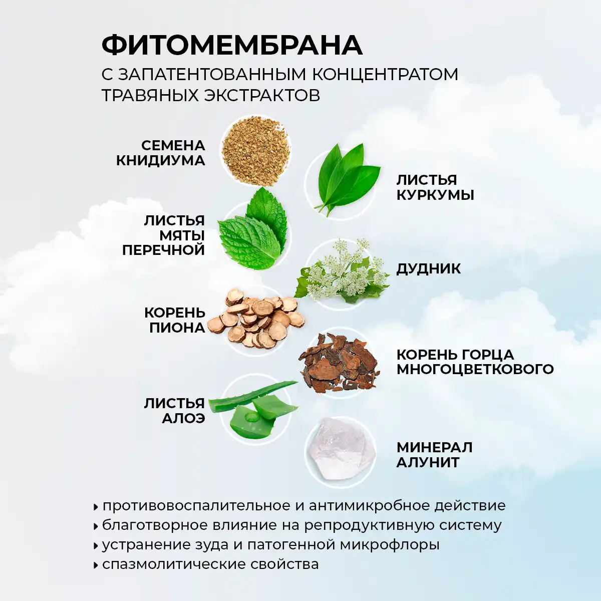 Absorbante zilnice cu fitomembrană „Energia plantelor”, 20 buc.
