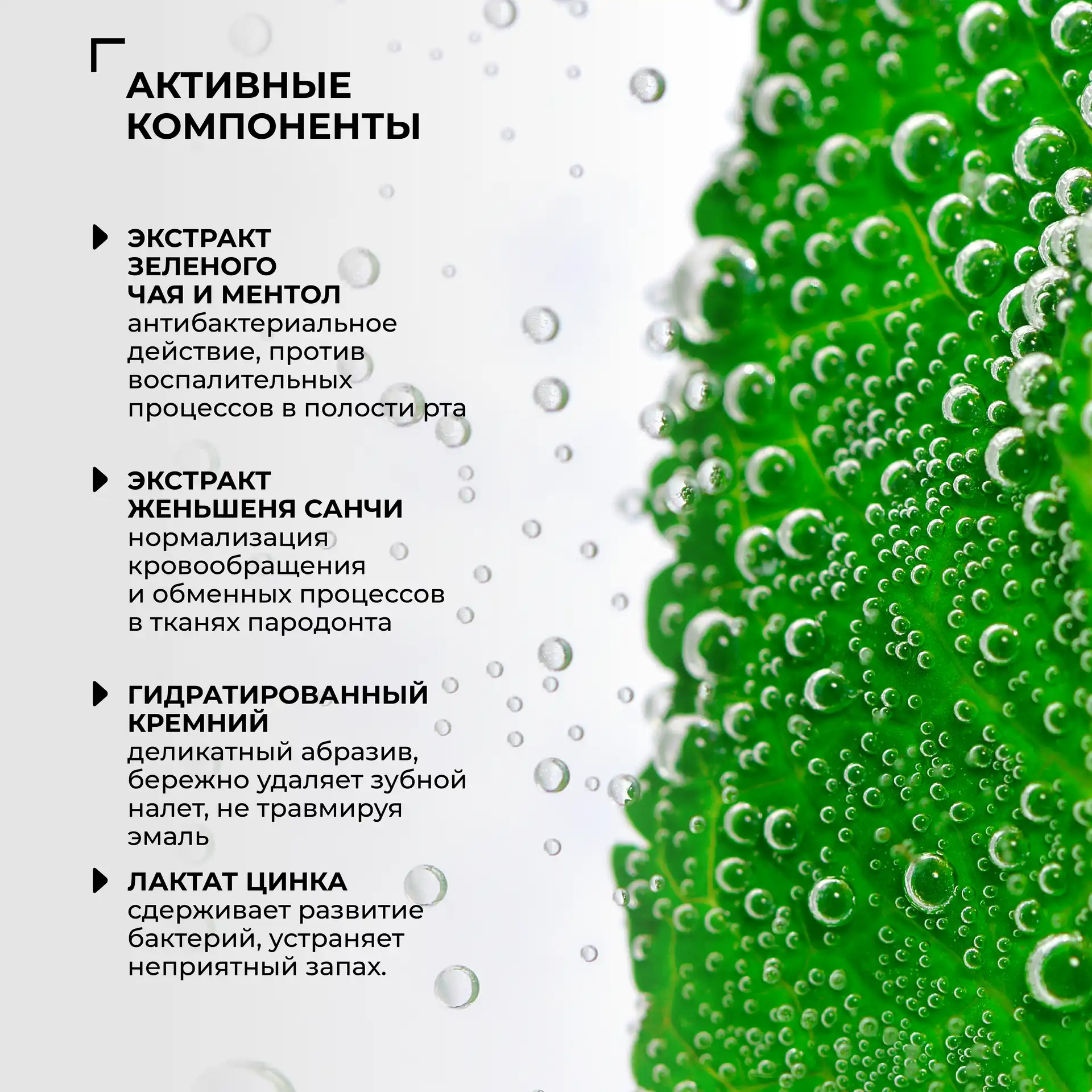 Зубная паста «Зеленый чай +  женьшень Санчи», 120 г