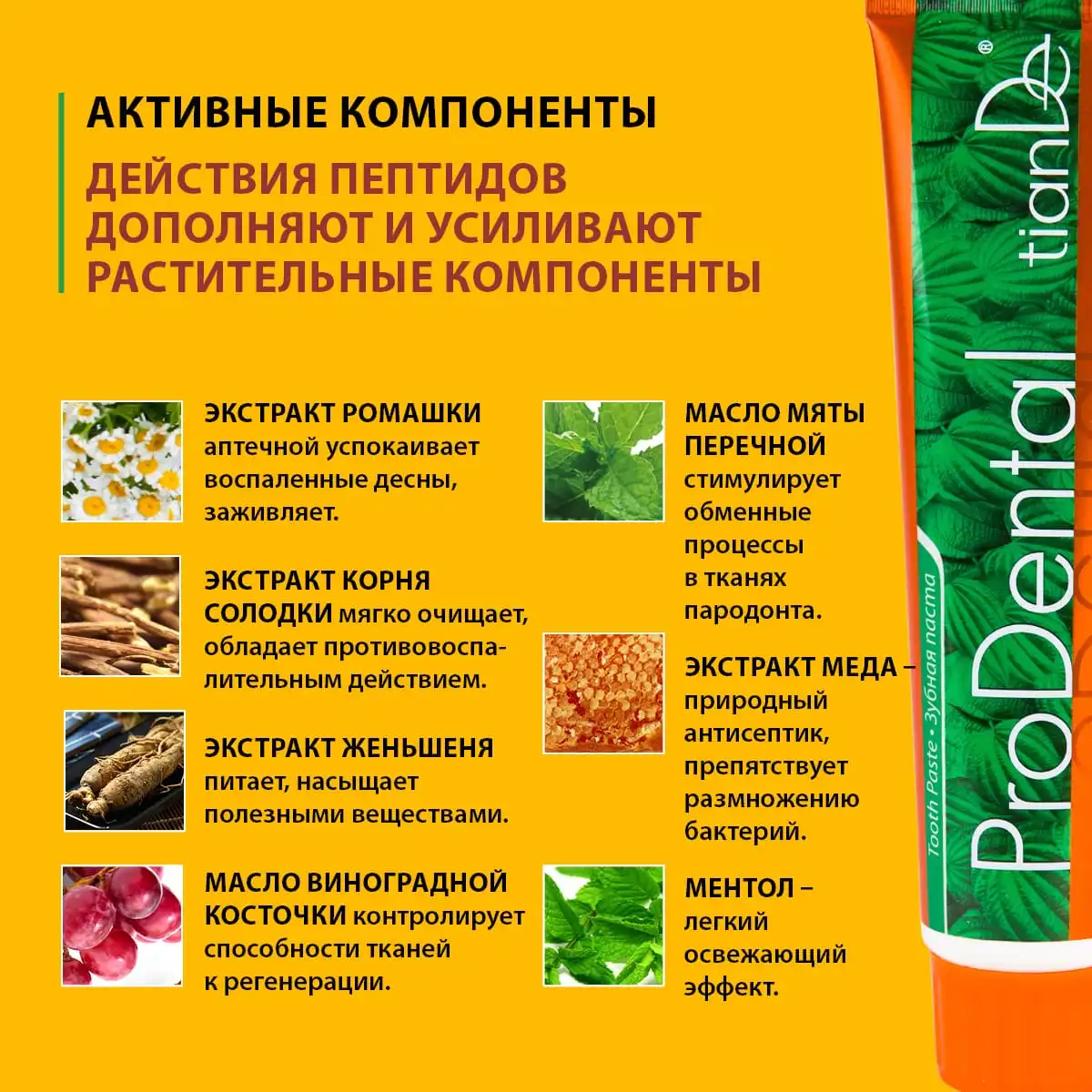 Зубная паста «Проденталь», 120 г