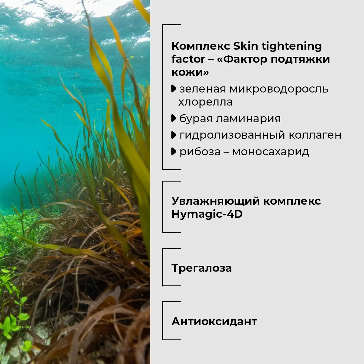 Gel-loțiune hialuronică pentru față și corp cu alge marine