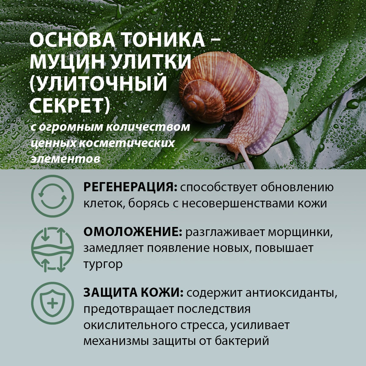 Восстанавливающий тоник с муцином улитки, 80 мл